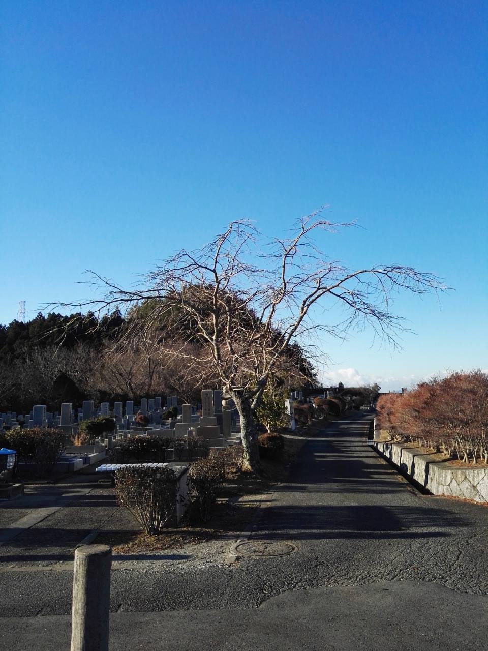 1区10番墓所・臨時駐車場枝道風景