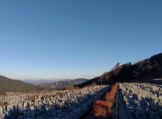 11区7番墓所から園内（北）風景