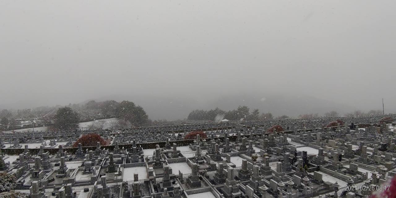 11区7番墓所から園内（西）風景