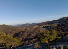 8区4番墓所枝道駐車場から園内風景