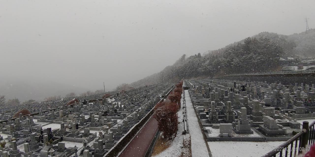 11区7番墓所から園内（北）風景