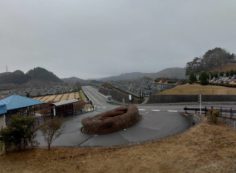 霊園北入口から園内風景