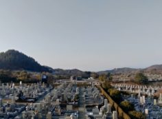 11区7番墓所から園内（南西）風景