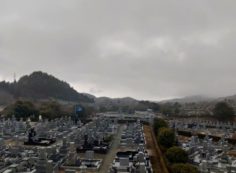 11区7番墓所から園内（南西）風景