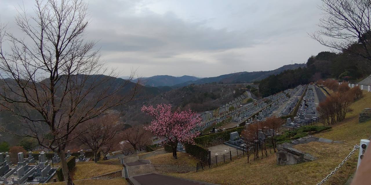 7区3番墓所上段駐車場からの風景