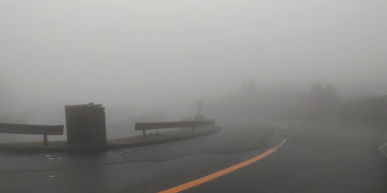 霊園北入口・「濃霧」視界約10ｍ・11時現在
