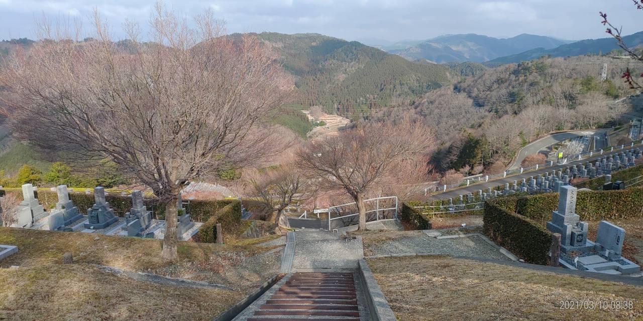 7区3/7番墓所工事車両通路風景