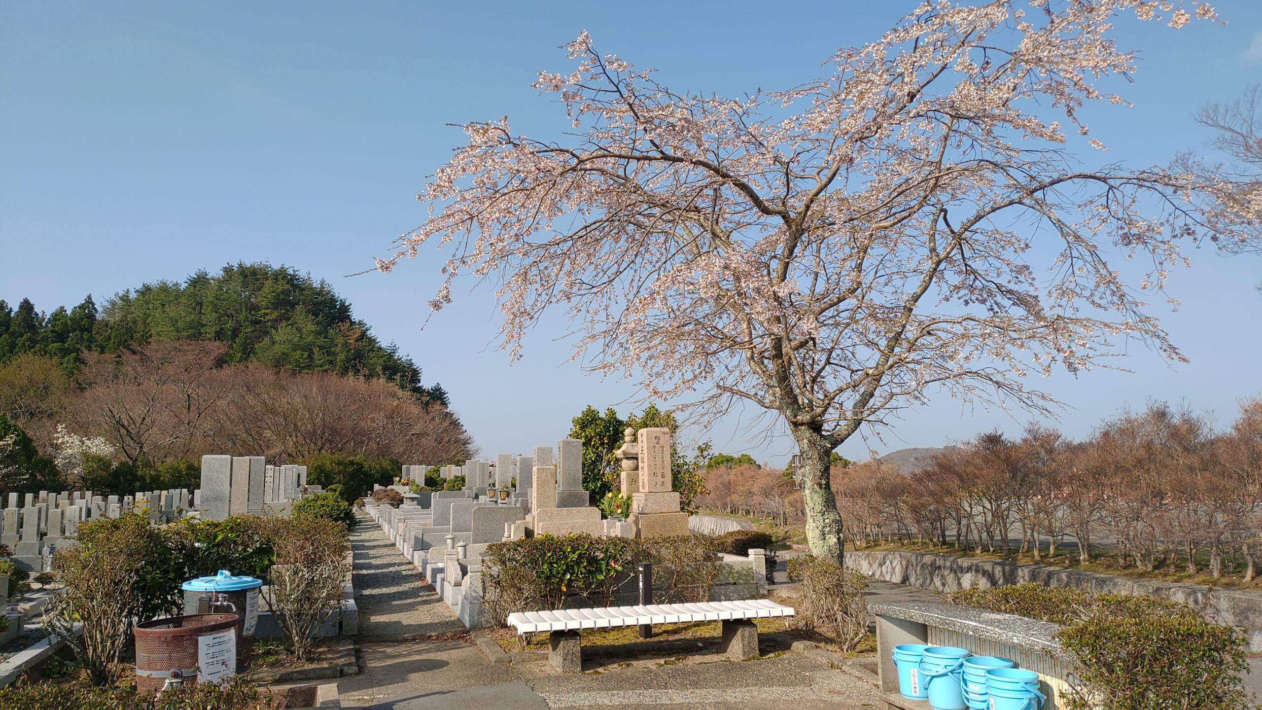 1区10番墓所水くみ場（桜）