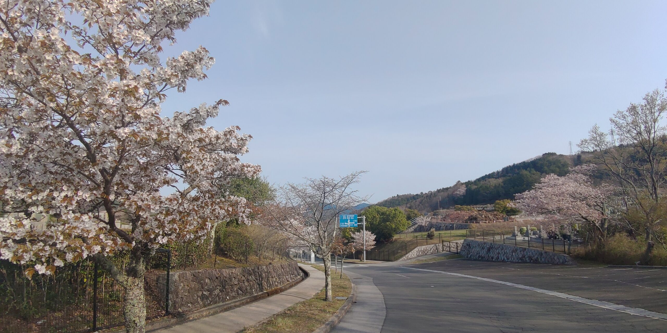 バス通り・2区墓所歩道風景