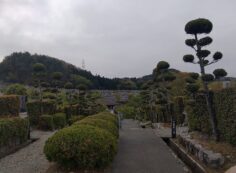 3区墓所墓参道（南東風景）