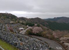 階段墓所・8区3/4番墓所枝道から②