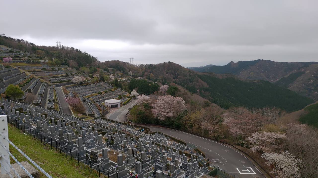 階段墓所・8区3/4番墓所枝道から②