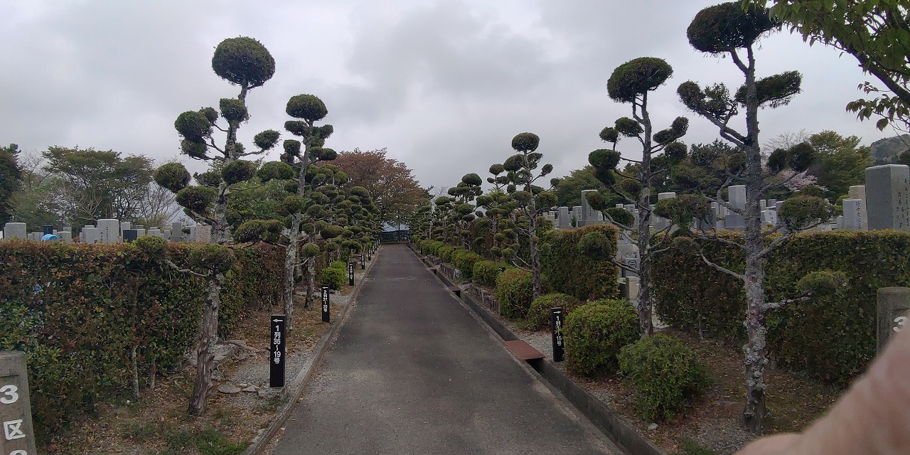 3区墓所墓参道（西北風景）