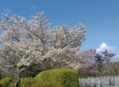 令和3年4月09日(金)