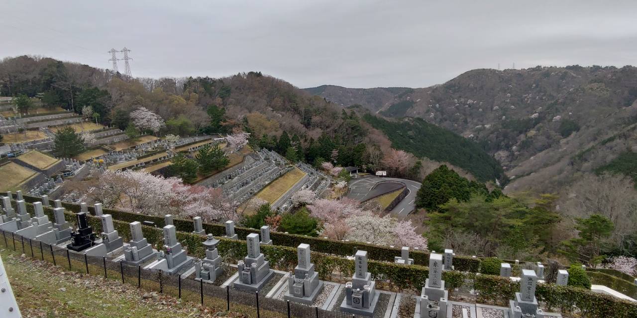 6区4番上段枝道からの風景②