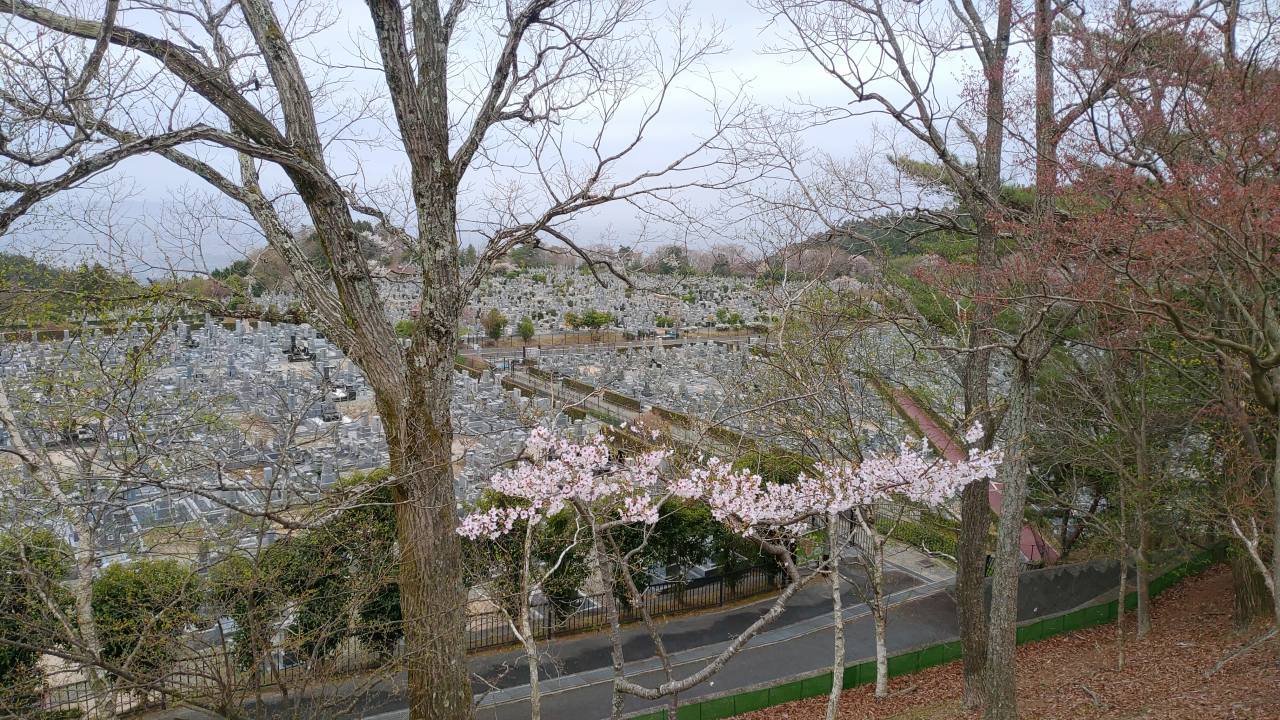 11区1番墓所から（南）風景②