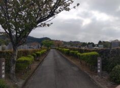 3区墓所墓参道（北東風景）