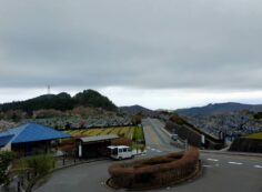 霊園北入口からの園内風景