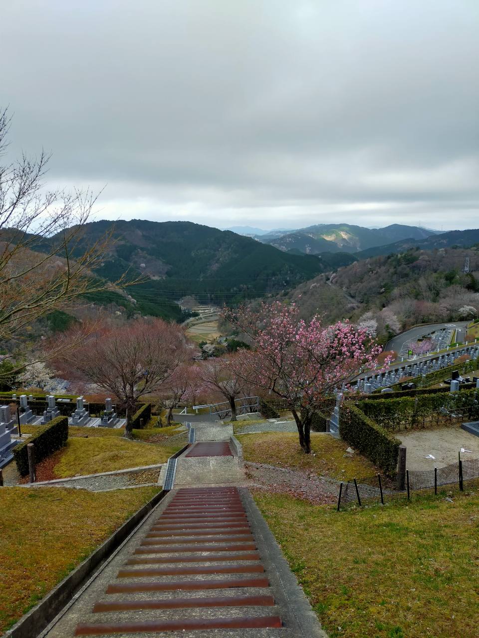 7区7番墓所上段駐車場から