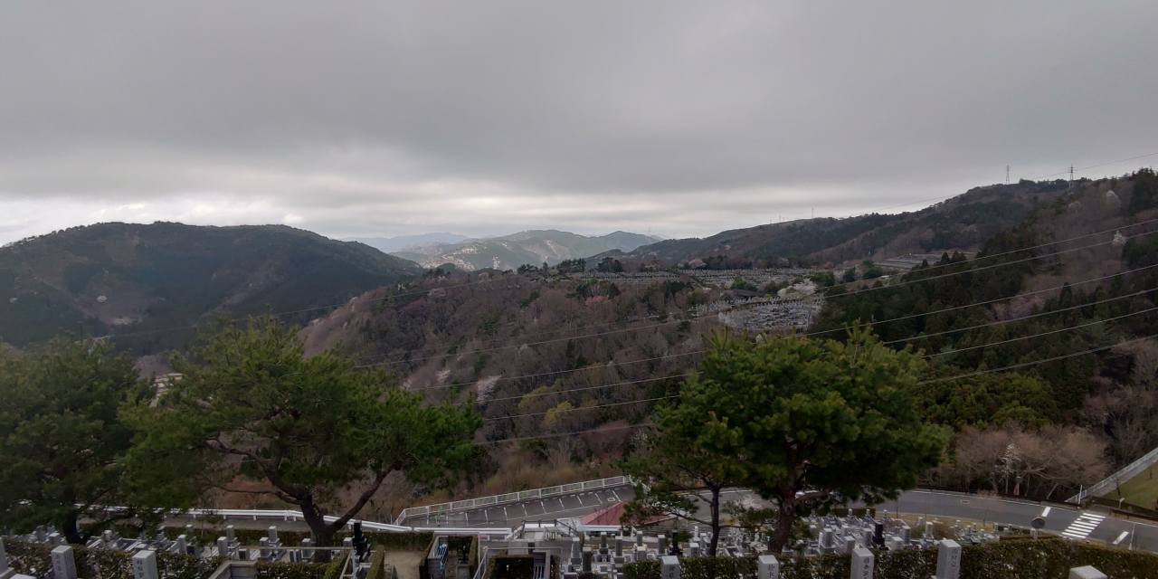 8区4番枝道駐車場から園内風景