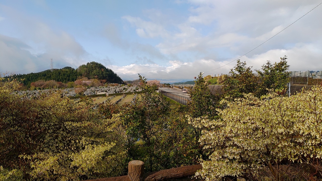 北口バス停裏からの園内風景