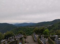 8区5番あずま家から（北）風景