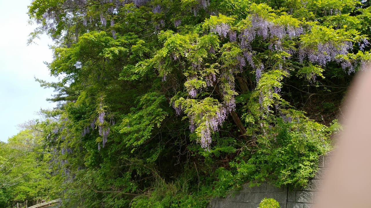 10区4番墓所風景②