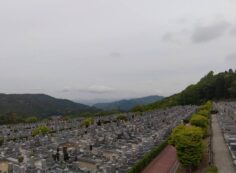 11区7番墓所から園内（北）風景