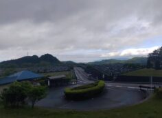 霊園北入口から園内風景