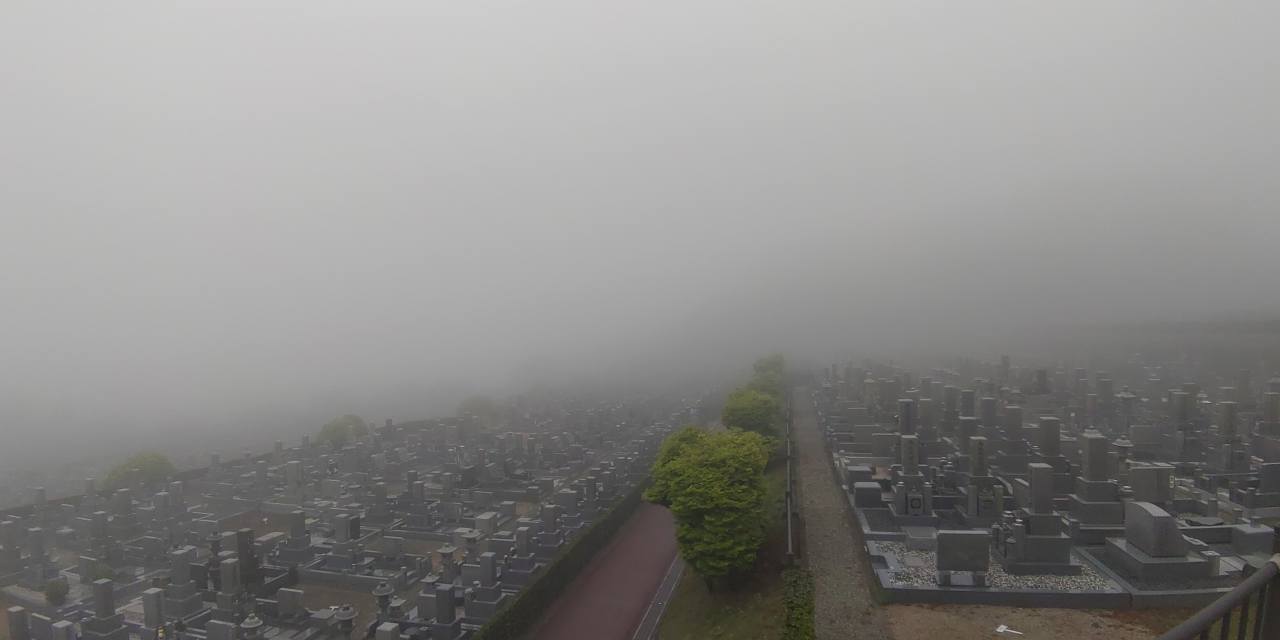 11区7番墓所から園内（北）風景