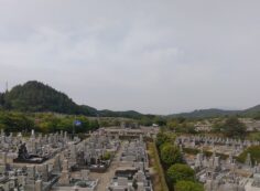 11区7番墓所から（南西向き）風景