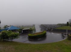 霊園北入り口から園内風景