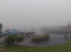 霊園北入り口から園内風景（雨・濃霧）