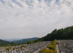 11区7番墓所から（北向き）風景