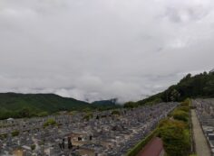 11区7番墓所から（北向き）風景