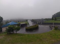 霊園北入り口から園内（雨・濃霧）