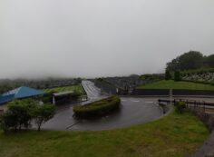 霊園北入り口から園内風景