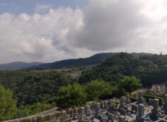 8区4/5番墓所枝道から（北向き）風景