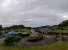 霊園北入り口から園内風景