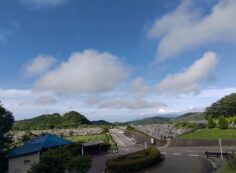 霊園北入り口から園内風景