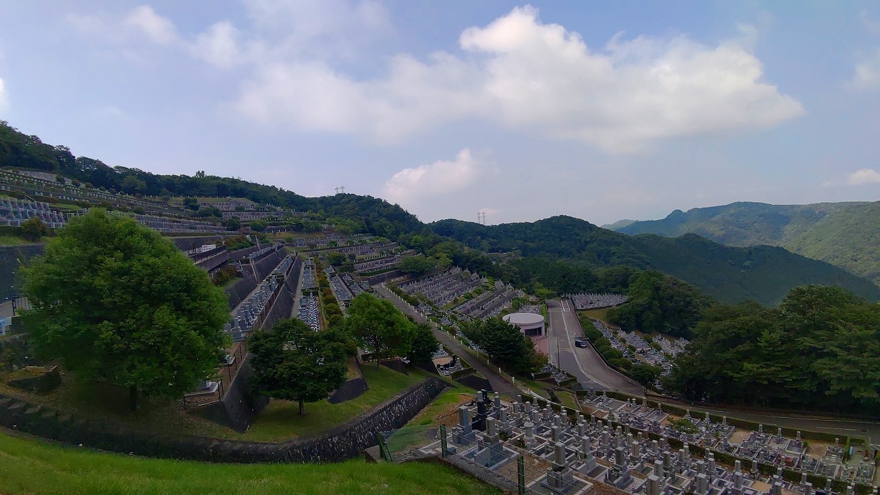 8区2/4番枝道からの風景②