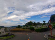 北入り口からの風景