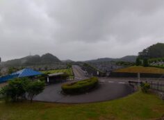 霊園北入り口から園内風景