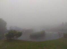 霊園北入り口から園内　雨・濃霧