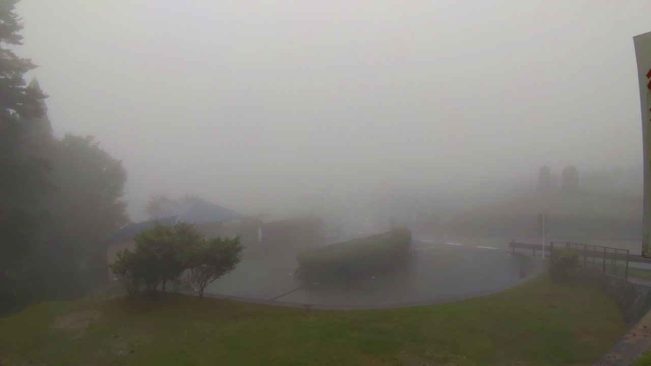 霊園北入り口から園内　雨・濃霧