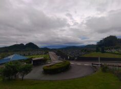 霊園北入り口から園内風景