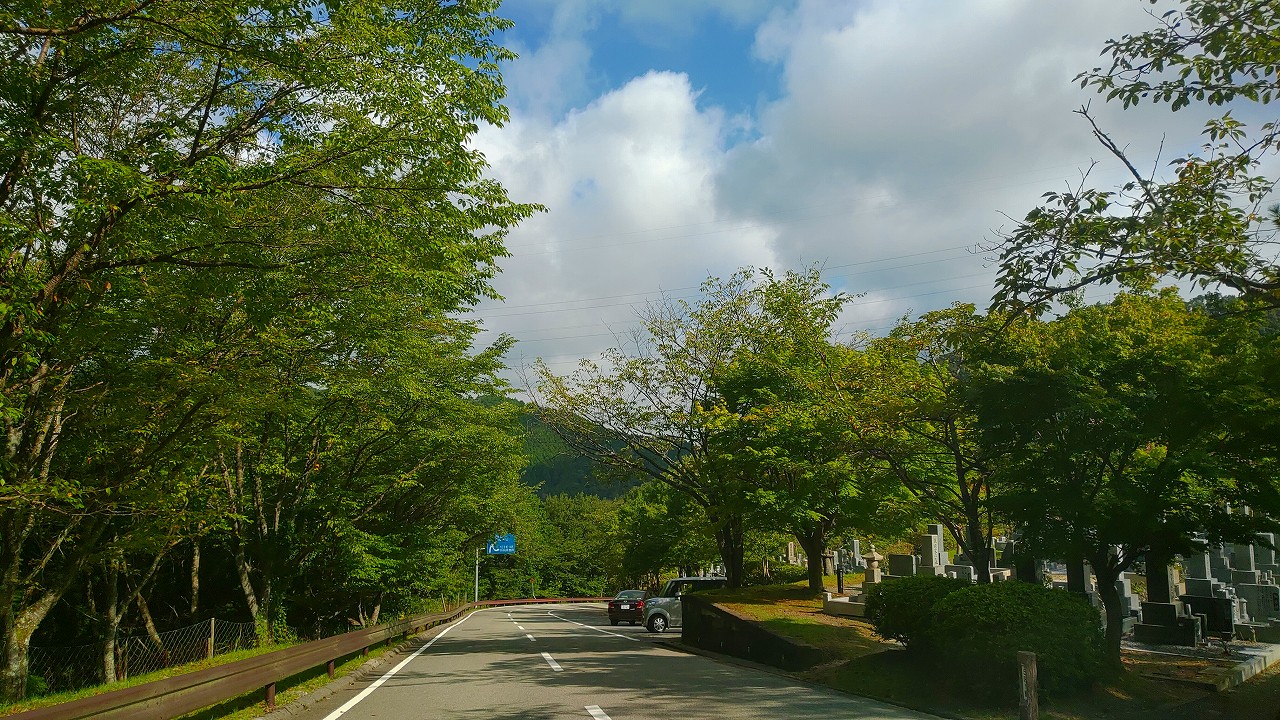 バス通り5区1番墓所風景