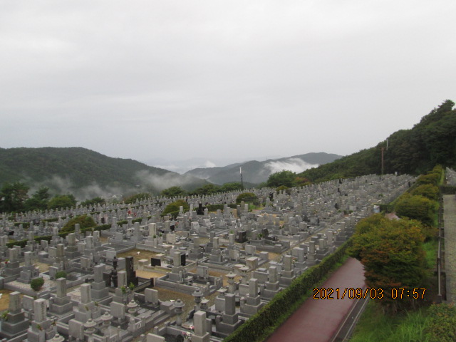 11区7番墓所から（北向き）風景