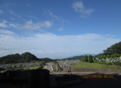 霊園北入り口から園内風景