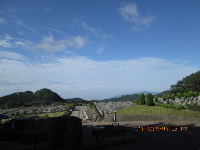 霊園北入り口から園内風景